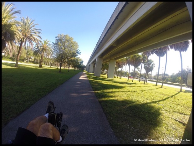 unter der Metrorail : Schattenfahren :-)