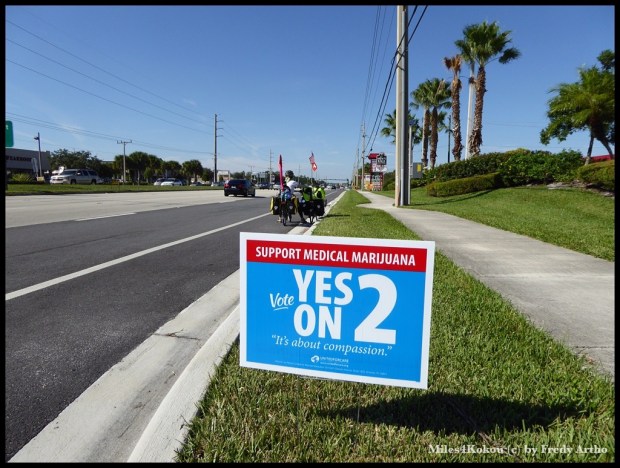 Viele Schilder künden Abstimmungen an, unter anderem zum Thema "Marihuana zu med. Zweck"