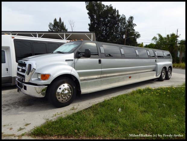 Zum Glück standen diese Monster nur am Strassenrand.