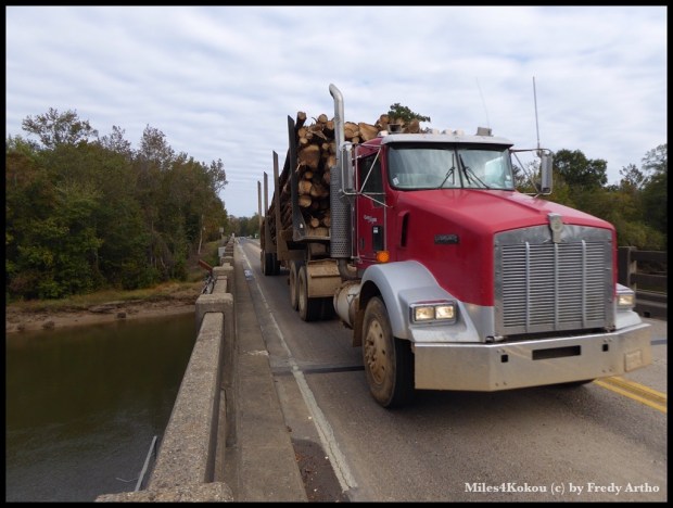 Auf der Grenzbrücke musste ich mich dünn machen, als er hier vorbeidonnerte.