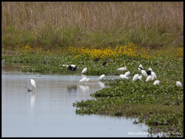 Idylle am Strassenrand.