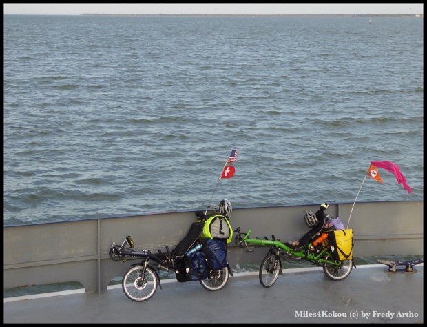 Die zwei dürfen sich mal ausruhen!