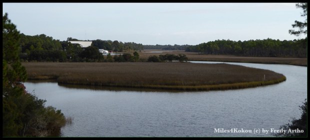 Dafür ein ruhiges Landschaftsbild aus der Gegend der bellenden Hunde.