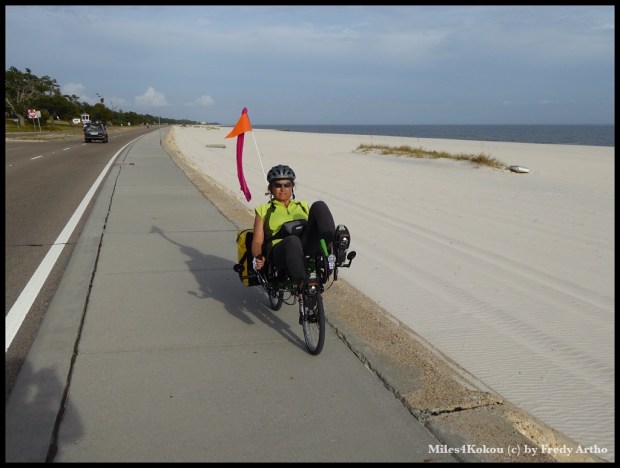 Das war's heute auch fast schon. Immer dem Strand entlang.