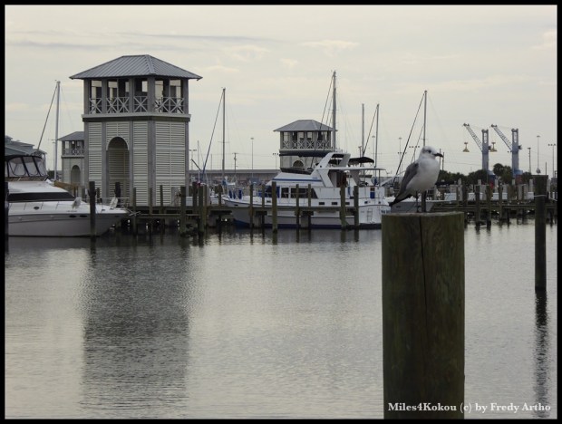 Am Hafen von Gulfport.
