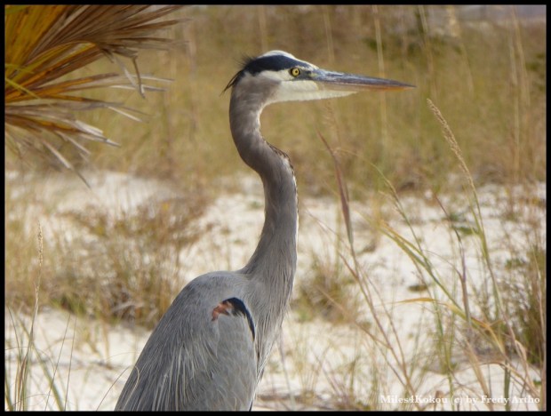 Wir hatten sogar Zeit um uns für ein Foto langsam anzuschleichen.