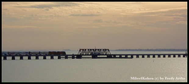 Parallel dazu verläuft die Eisenbahnbrücke und für ein Foto haben sie sogar einen Zug darüber fahrenlassen.