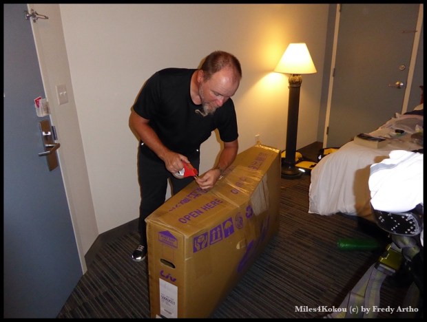 Barbara's Pferdchen wird für die Reise gut verpackt.