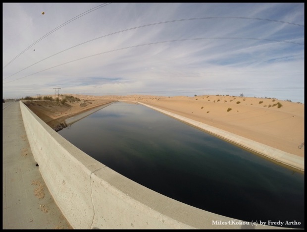 Mitten durch die Sandlandschaft führt der "All American Canal" der das Coloradowasser zu den Feldern in Kalifornien und Arizona leitet.