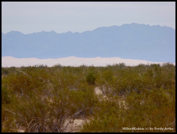 Die Dünen am Fusse der Berge, die den aufgewirbelten Sand aufhalten ziehen sich bis zum Horizont hin. 