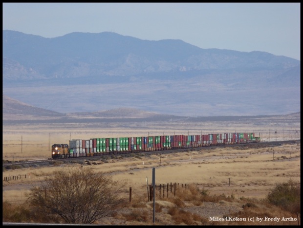 Hier konnte ich mal einen Zug in seiner ganzen Länge fotografieren: 92 Wagen, fast alle mit zwei Containern! 