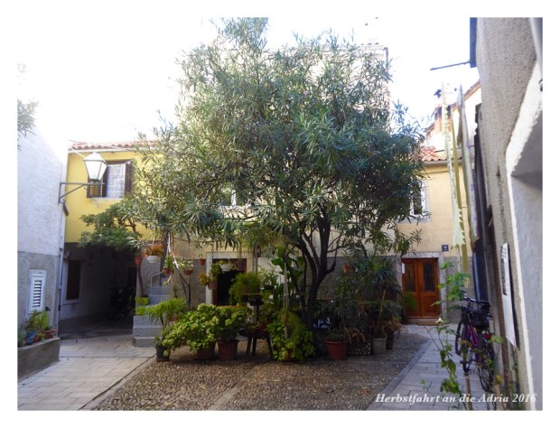 Kleine Gärten mitten im Gewirr der Altstastgassen